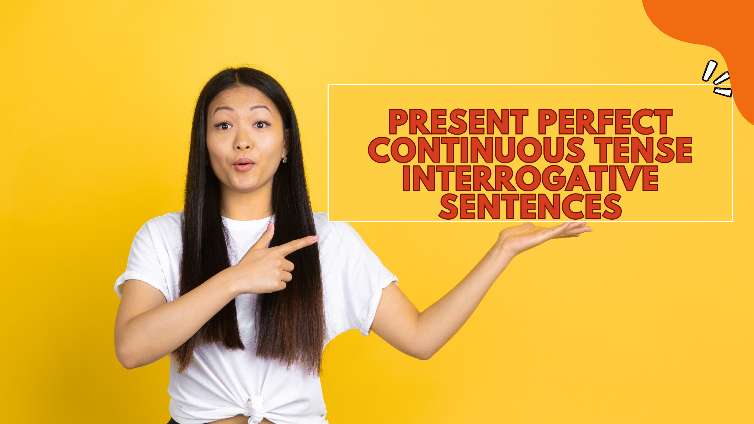 Present Perfect Continuous Tense Interrogative Sentences