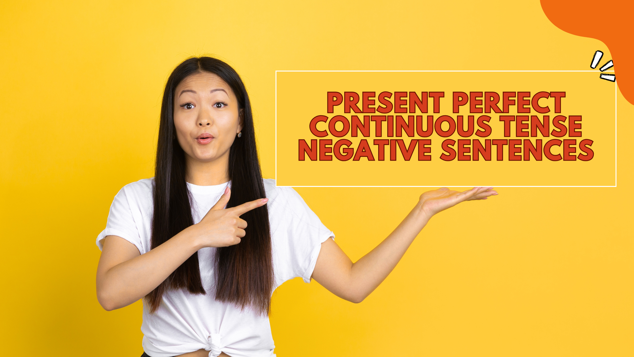 Present Perfect Continuous Tense Negative Sentences