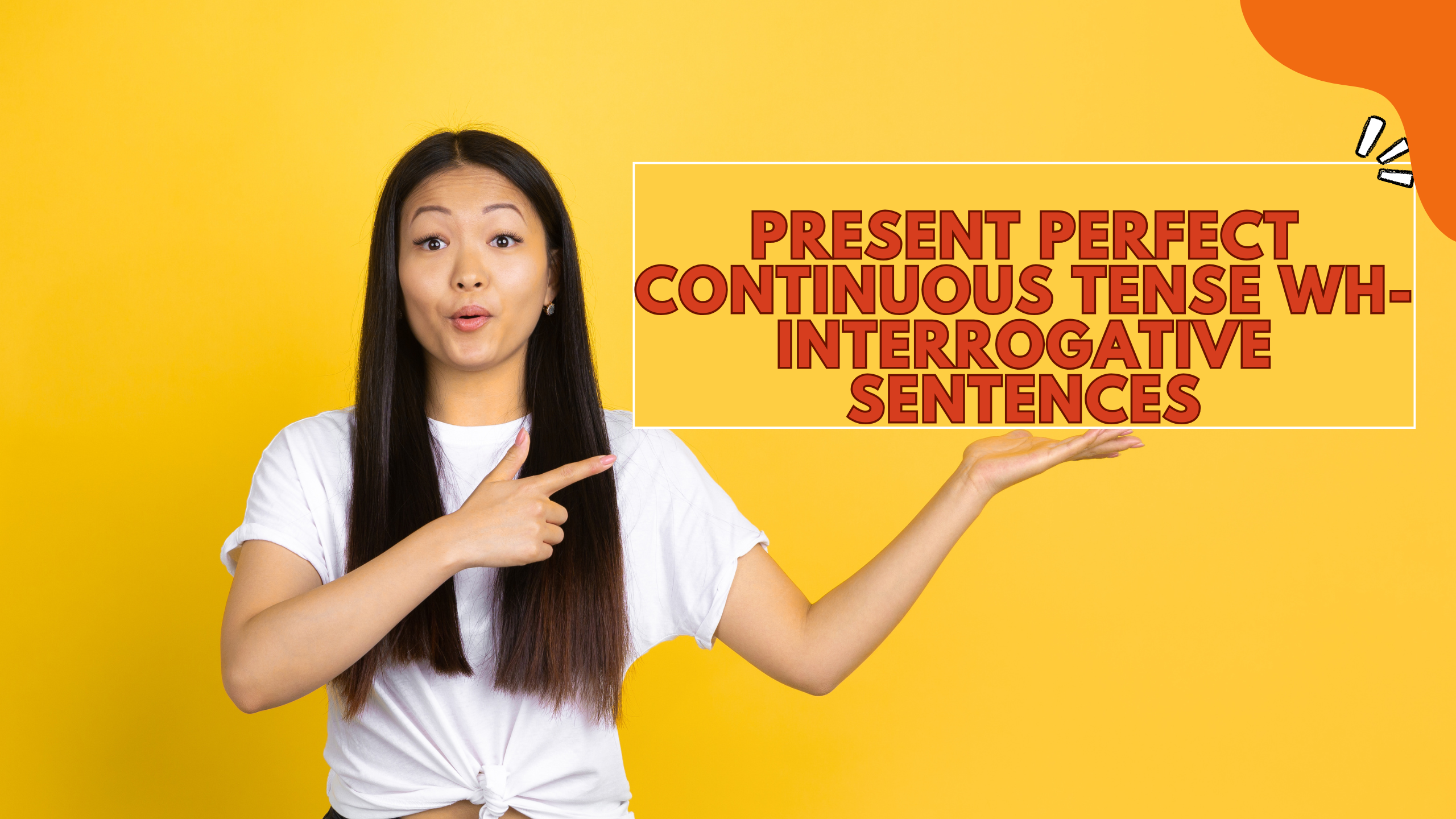 Present Perfect Continuous Tense Wh-Interrogative Sentences